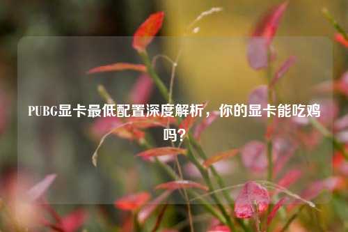PUBG显卡最低配置深度解析，你的显卡能吃鸡吗？