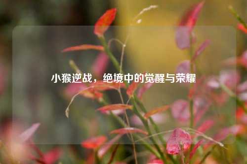 小猴逆战，绝境中的觉醒与荣耀