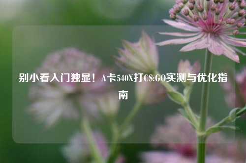 别小看入门独显！A卡540X打CS:GO实测与优化指南