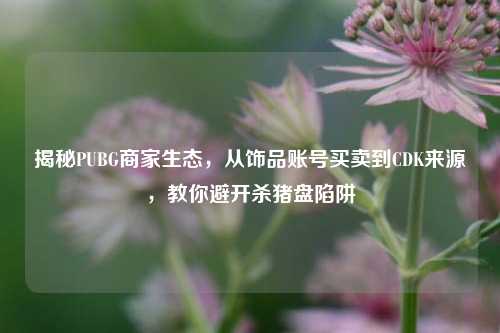 揭秘PUBG商家生态，从饰品账号买卖到CDK来源，教你避开杀猪盘陷阱