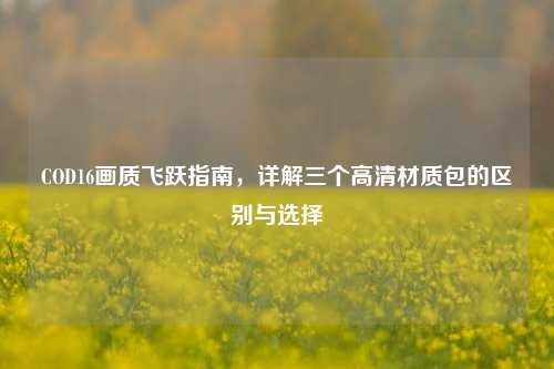 COD16画质飞跃指南，详解三个高清材质包的区别与选择