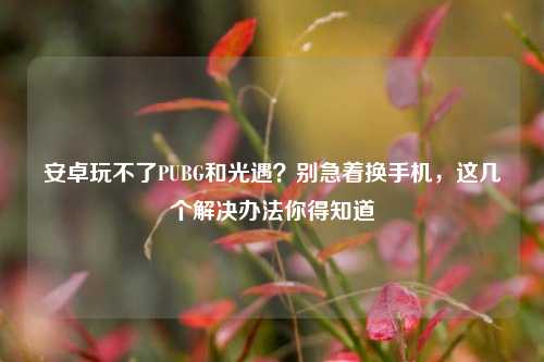 安卓玩不了PUBG和光遇？别急着换手机，这几个解决办法你得知道