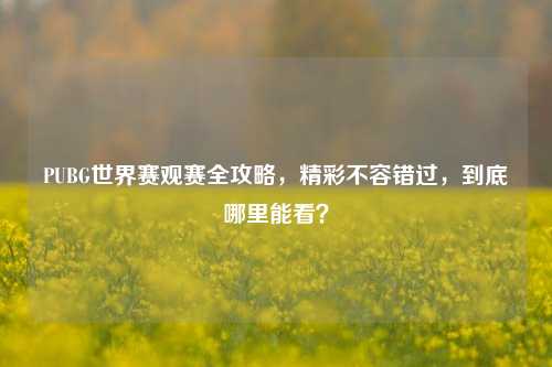 PUBG世界赛观赛全攻略，精彩不容错过，到底哪里能看？