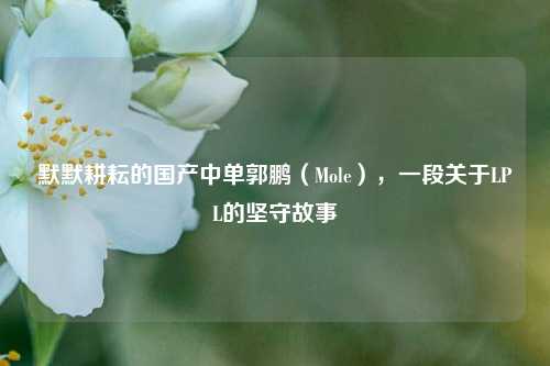默默耕耘的国产中单郭鹏（Mole），一段关于LPL的坚守故事