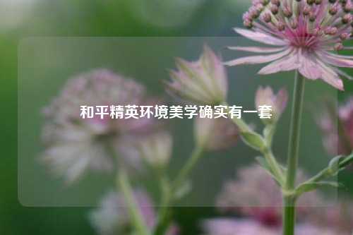 和平精英环境美学确实有一套