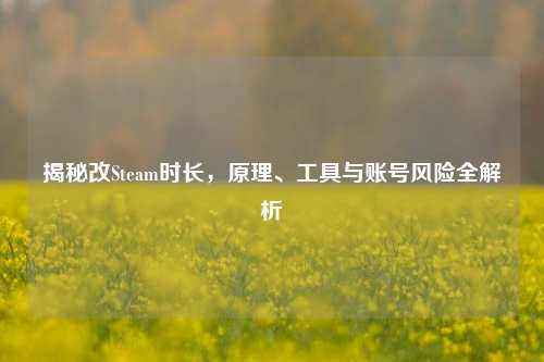 揭秘改Steam时长，原理、工具与账号风险全解析