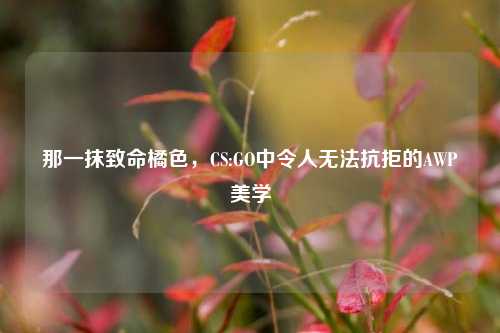 那一抹致命橘色，CS:GO中令人无法抗拒的AWP美学