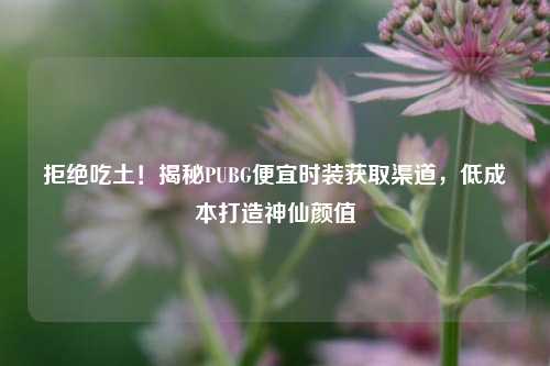 拒绝吃土！揭秘PUBG便宜时装获取渠道，低成本打造神仙颜值