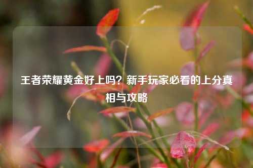 王者荣耀黄金好上吗？新手玩家必看的上分真相与攻略