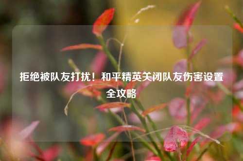 拒绝被队友打扰！和平精英关闭队友伤害设置全攻略