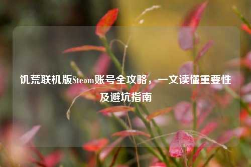 饥荒联机版Steam账号全攻略，一文读懂重要性及避坑指南