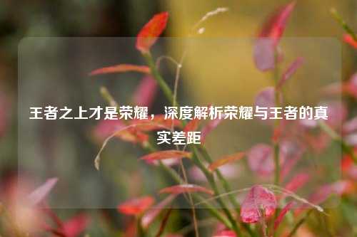 王者之上才是荣耀，深度解析荣耀与王者的真实差距