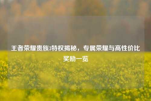 王者荣耀贵族3特权揭秘，专属荣耀与高性价比奖励一览