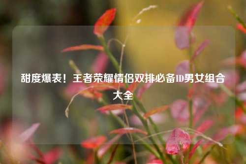 甜度爆表！王者荣耀情侣双排必备ID男女组合大全