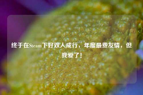 终于在Steam下好双人成行，年度最费友情，但我爱了！