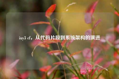 iuy3 cf，从代码片段到系统架构的演进