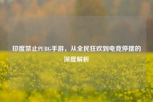 印度禁止PUBG手游，从全民狂欢到电竞停摆的深度解析