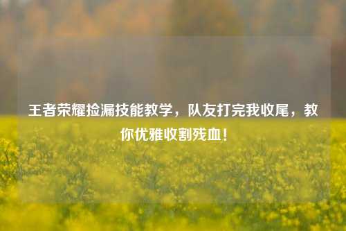 王者荣耀捡漏技能教学，队友打完我收尾，教你优雅收割残血！