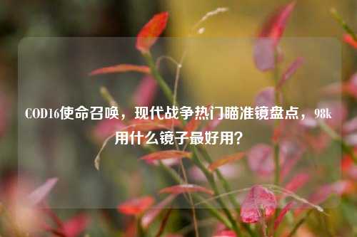 COD16使命召唤，现代战争热门瞄准镜盘点，98k用什么镜子最好用？