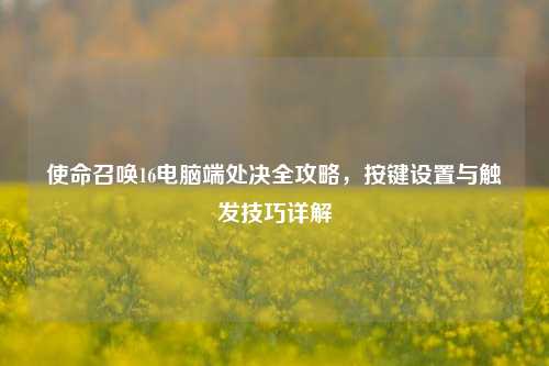 使命召唤16电脑端处决全攻略，按键设置与触发技巧详解