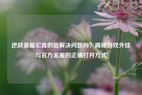 逆战客服宏真的能解决问题吗？揭秘游戏外挂与官方客服的正确打开方式