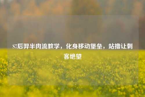 S7后羿半肉流教学，化身移动堡垒，站撸让刺客绝望