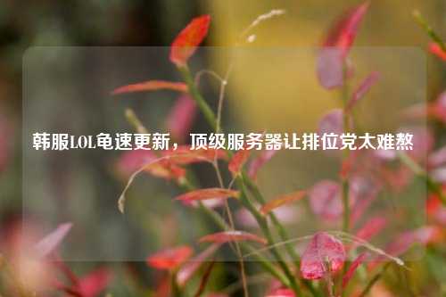 韩服LOL龟速更新，顶级服务器让排位党太难熬