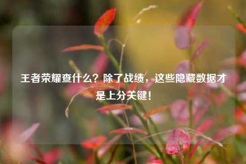 王者荣耀查什么？除了战绩，这些隐藏数据才是上分关键！