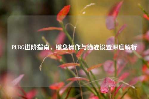 PUBG进阶指南，键盘操作与瞄准设置深度解析