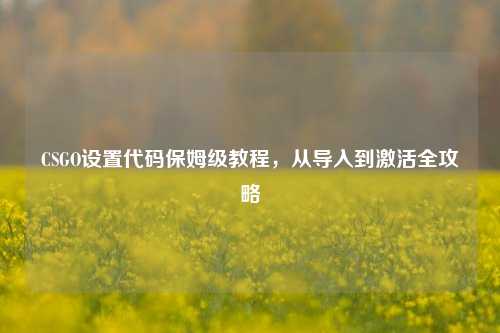 CSGO设置代码保姆级教程，从导入到激活全攻略