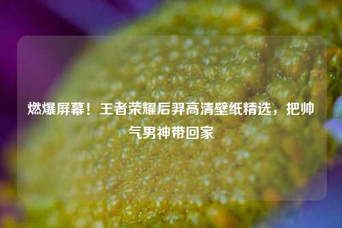 燃爆屏幕！王者荣耀后羿高清壁纸精选，把帅气男神带回家