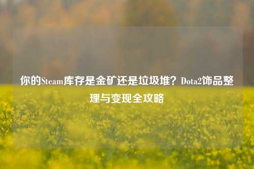 你的Steam库存是金矿还是垃圾堆？Dota2饰品整理与变现全攻略