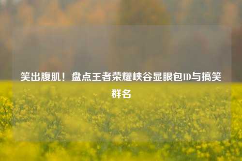 笑出腹肌！盘点王者荣耀峡谷显眼包ID与搞笑群名