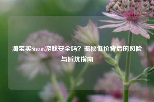 淘宝买Steam游戏安全吗？揭秘低价背后的风险与避坑指南