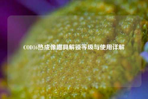 COD16热成像瞄具解锁等级与使用详解