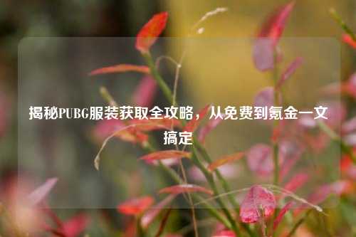 揭秘PUBG服装获取全攻略，从免费到氪金一文搞定