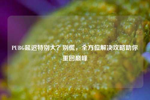 PUBG延迟特别大？别慌，全方位解决攻略助你重回巅峰
