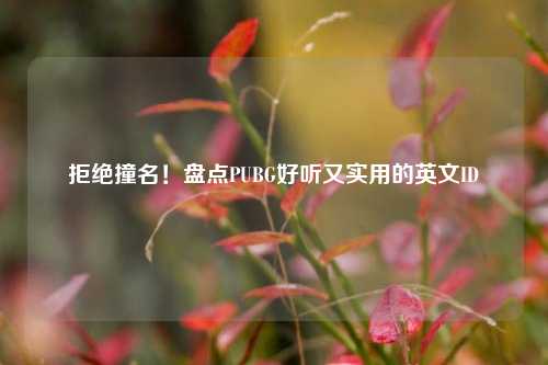 拒绝撞名！盘点PUBG好听又实用的英文ID