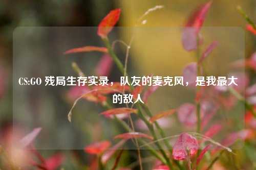 CS:GO 残局生存实录，队友的麦克风，是我最大的敌人