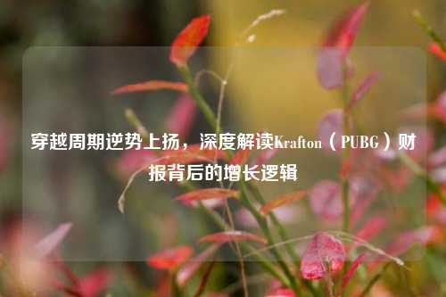 穿越周期逆势上扬，深度解读Krafton（PUBG）财报背后的增长逻辑