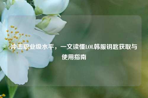 冲击职业级水平，一文读懂LOL韩服钥匙获取与使用指南