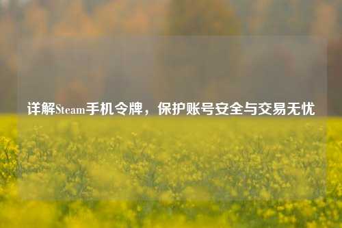 详解Steam手机令牌，保护账号安全与交易无忧