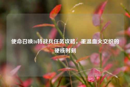 使命召唤16特战兵任务攻略，重温血火交织的硬核时刻