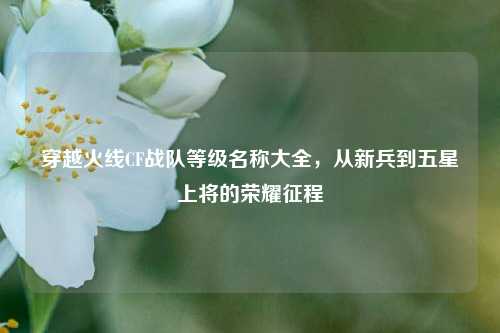 穿越火线CF战队等级名称大全，从新兵到五星上将的荣耀征程