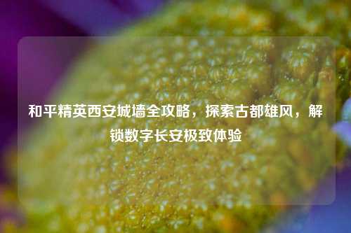 和平精英西安城墙全攻略，探索古都雄风，解锁数字长安极致体验