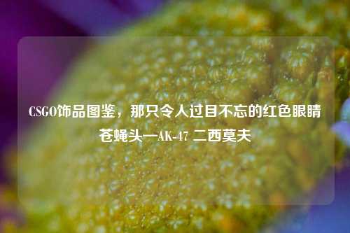 CSGO饰品图鉴，那只令人过目不忘的红色眼睛苍蝇头—AK-47 二西莫夫