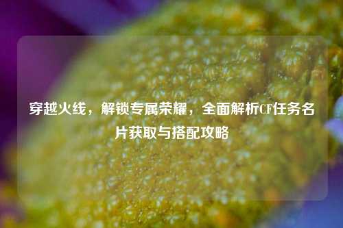 穿越火线，解锁专属荣耀，全面解析CF任务名片获取与搭配攻略
