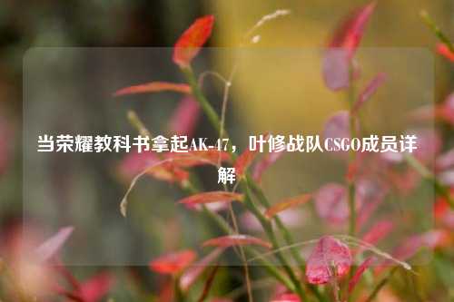 当荣耀教科书拿起AK-47，叶修战队CSGO成员详解