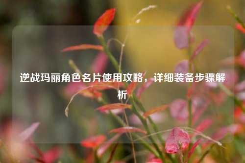 逆战玛丽角色名片使用攻略，详细装备步骤解析