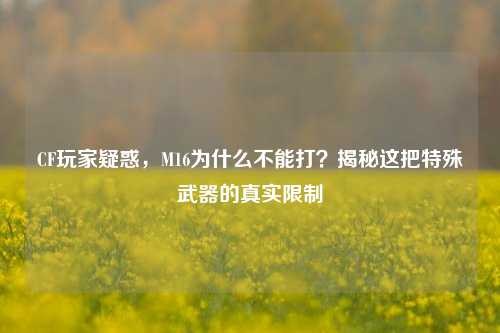 CF玩家疑惑，M16为什么不能打？揭秘这把特殊武器的真实限制
